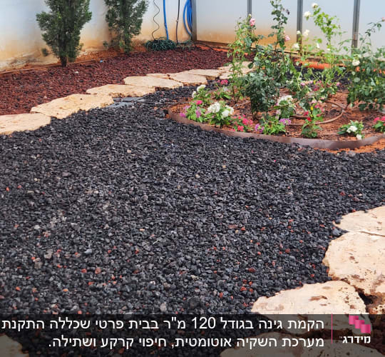 שביל אבנים בגינה עם צמחים ופרחים